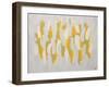 Golden Paths Home-Jolene Goodwin-Framed Giclee Print