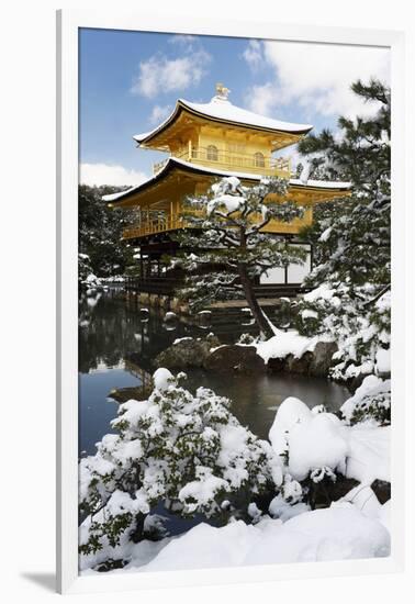 Golden Pavilion (Kinkaku-ji), UNESCO World Heritage Site, in winter, Kyoto, Japan, Asia-Damien Douxchamps-Framed Photographic Print