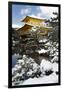 Golden Pavilion (Kinkaku-ji), UNESCO World Heritage Site, in winter, Kyoto, Japan, Asia-Damien Douxchamps-Framed Photographic Print