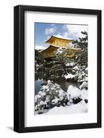 Golden Pavilion (Kinkaku-ji), UNESCO World Heritage Site, in winter, Kyoto, Japan, Asia-Damien Douxchamps-Framed Photographic Print