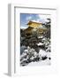 Golden Pavilion (Kinkaku-ji), UNESCO World Heritage Site, in winter, Kyoto, Japan, Asia-Damien Douxchamps-Framed Photographic Print