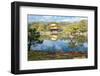 Golden Pavilion Kinkakuji Temple in Kyoto Japan-vichie81-Framed Photographic Print