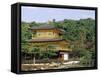 Golden Pavilion, Kyoto, Japan-null-Framed Stretched Canvas