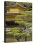 Golden Pavilion, Rokuon Ji Temple, Kinkaku Ji, Kyoto, Kansai, Honshu, Japan-Simanor Eitan-Stretched Canvas