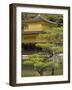 Golden Pavilion, Rokuon Ji Temple, Kinkaku Ji, Kyoto, Kansai, Honshu, Japan-Simanor Eitan-Framed Photographic Print