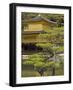 Golden Pavilion, Rokuon Ji Temple, Kinkaku Ji, Kyoto, Kansai, Honshu, Japan-Simanor Eitan-Framed Photographic Print