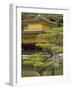 Golden Pavilion, Rokuon Ji Temple, Kinkaku Ji, Kyoto, Kansai, Honshu, Japan-Simanor Eitan-Framed Photographic Print