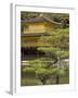 Golden Pavilion, Rokuon Ji Temple, Kinkaku Ji, Kyoto, Kansai, Honshu, Japan-Simanor Eitan-Framed Photographic Print