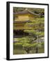 Golden Pavilion, Rokuon Ji Temple, Kinkaku Ji, Kyoto, Kansai, Honshu, Japan-Simanor Eitan-Framed Photographic Print