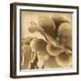 Golden Peony I-Linda Wood-Framed Giclee Print