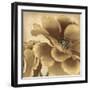 Golden Peony I-Linda Wood-Framed Giclee Print