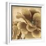 Golden Peony I-Linda Wood-Framed Giclee Print