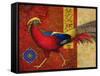 Golden Pheasant-Maria Rytova-Framed Stretched Canvas