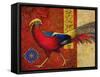 Golden Pheasant-Maria Rytova-Framed Stretched Canvas