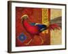 Golden Pheasant-Maria Rytova-Framed Giclee Print