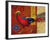 Golden Pheasant-Maria Rytova-Framed Giclee Print