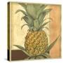 Golden Pineapple I-Jennifer Goldberger-Stretched Canvas