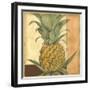 Golden Pineapple I-Jennifer Goldberger-Framed Art Print