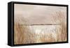 Golden Pink Beach-Allison Pearce-Framed Stretched Canvas