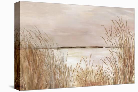 Golden Pink Beach-Allison Pearce-Stretched Canvas