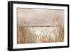 Golden Pink Beach-Allison Pearce-Framed Art Print