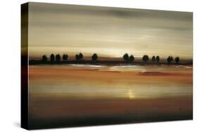 Golden Plains-Lisa Ridgers-Stretched Canvas