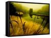 Golden Plant Growth along Peaceful River-Jan Lakey-Framed Stretched Canvas