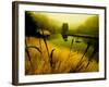 Golden Plant Growth along Peaceful River-Jan Lakey-Framed Photographic Print