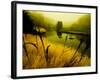 Golden Plant Growth along Peaceful River-Jan Lakey-Framed Photographic Print