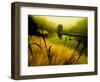 Golden Plant Growth along Peaceful River-Jan Lakey-Framed Photographic Print