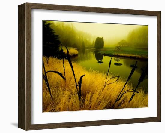 Golden Plant Growth along Peaceful River-Jan Lakey-Framed Photographic Print