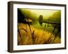 Golden Plant Growth along Peaceful River-Jan Lakey-Framed Photographic Print