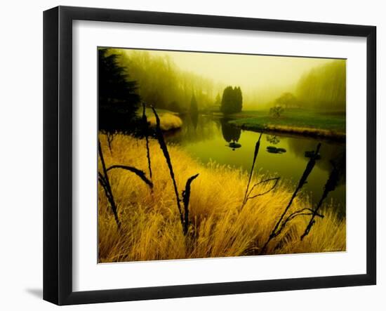 Golden Plant Growth along Peaceful River-Jan Lakey-Framed Photographic Print