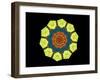 Golden Polygon Flower-backgroundgeo-Framed Art Print