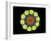 Golden Polygon Flower-backgroundgeo-Framed Art Print