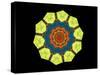 Golden Polygon Flower-backgroundgeo-Stretched Canvas