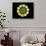 Golden Polygon Flower-backgroundgeo-Framed Stretched Canvas displayed on a wall