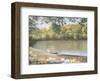 Golden Pond-Diane Romanello-Framed Art Print