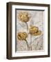 Golden Poppies on Taupe II-Tim O'toole-Framed Art Print