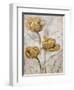 Golden Poppies on Taupe II-Tim O'toole-Framed Art Print