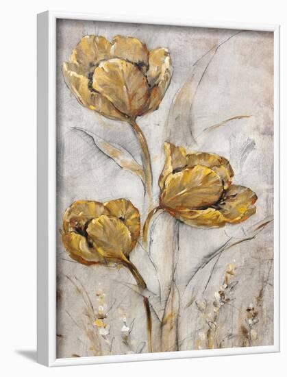 Golden Poppies on Taupe II-Tim O'toole-Framed Art Print