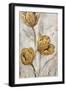 Golden Poppies on Taupe II-Tim OToole-Framed Art Print