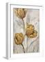 Golden Poppies on Taupe II-Tim OToole-Framed Art Print