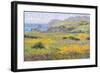 Golden Poppies-Dean Bradshaw-Framed Giclee Print