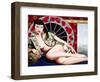 Golden Poppy Hour, 2002-Catherine Abel-Framed Giclee Print