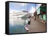 Golden Princess Cruise Ship Docked in St. John's, Antigua, Caribbean-Jerry & Marcy Monkman-Framed Stretched Canvas