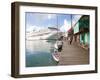 Golden Princess Cruise Ship Docked in St. John's, Antigua, Caribbean-Jerry & Marcy Monkman-Framed Photographic Print