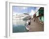 Golden Princess Cruise Ship Docked in St. John's, Antigua, Caribbean-Jerry & Marcy Monkman-Framed Photographic Print