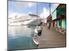 Golden Princess Cruise Ship Docked in St. John's, Antigua, Caribbean-Jerry & Marcy Monkman-Mounted Photographic Print