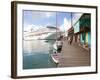 Golden Princess Cruise Ship Docked in St. John's, Antigua, Caribbean-Jerry & Marcy Monkman-Framed Photographic Print